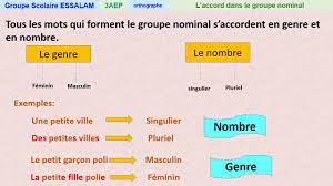 L'accord dans le groupe nominal - Orthographe - 3AP - YouTube