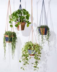 You should usually hang the rack from ceiling joists, which are horizontal supports that the ceiling is attached to, to hang the pot rack to make sure it does not fall. Upgrade Your Potted Plants With These Diy Leather Hangers Martha Stewart
