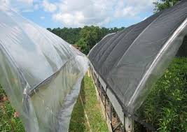 black plastic greenhouse shade netting