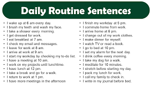 daily routine sentences in english