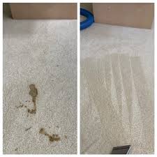 carpet upholstery stain removal in