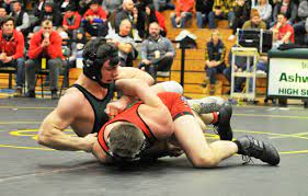 Division 1 Wrestling Sectional Archives - The Press