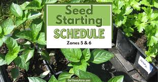 Zone 5 6 Seed Starting Schedule Our