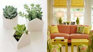 According to vastu shastra, plants which are thorny and milking should be avoided as they are inauspicious. Vastu For Home Interiors Remove These Objects For Better Energy At Home