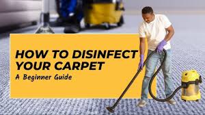 how to disinfect your carpet a