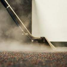 fantastic carpet cleaning updated