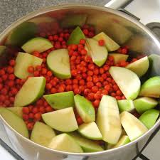 rowan and apple jelly recipe delishably