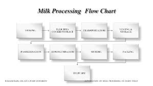 15 Judicious Milk Process