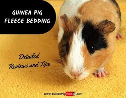 guinea pig fleece bedding detailed
