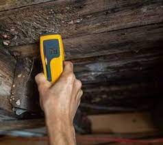 mold on floor joists in a crawl e