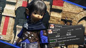 FFXIV: Warrior Guide - The Strongest Defensive Ability - Holmgang - YouTube