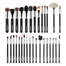 pac 31 brushes master stroke kit