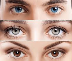 how is your eye color determined