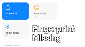 xiaomi fingerprint missing problem
