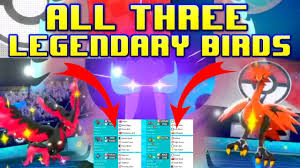 ALL 3 LEGENDARY BIRDS! Crown Tundra VGC 2021 Pokemon Sword and Shield  Competitive Doubles Battle - YouTube