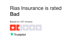 https://uk.trustpilot.com/review/rias-insurance.co.uk gambar png