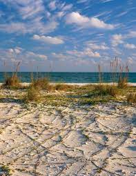 Why panhandle, florida is such a great place to rv. 10 Of The Best State Parks In The Florida Panhandle