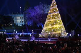 When Are Christmas Tree Lightings In Boston New York Chicago