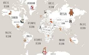 world map wallpaper for kids bedroom