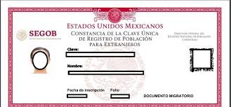 Consulte su curp en pocos segundos. What Is A Curp Number And How To Get One In Mexico