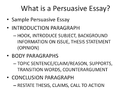 the essay the what and the why ppt what is a persuasive essay