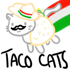 free taco cats by bubblehun on