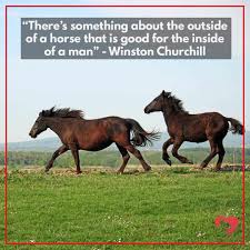 15 Greatest Quotes About Horses Of All Time