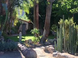 moorten botanical gardens palm