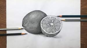 A still life is a drawing or painting that focuses on still objects. How To Draw Lemon In Pencil Sketch Still Life Fruit Drawing Step By Step Youtube