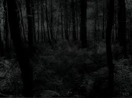 Résultats de recherche d'images pour « dark forest wallpaper »