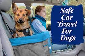 Safe Car Travel For Dogs Dogs Monthly
