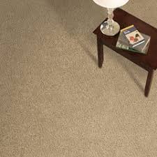 carpet one tigressa rug review