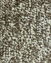 carpet budget saxony carpet 4m lounge