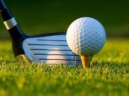 Image result for coventry high school golf team