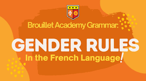 gender rules in french ba tutoring