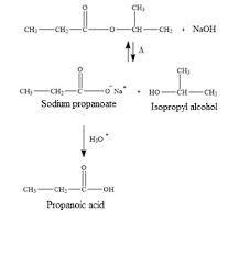Naoh With Isopropyl Propanoate