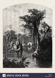 E Book Along The St Johns And Ocklawaha Rivers Images Of