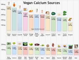 Top Vegan Calcium Sources
