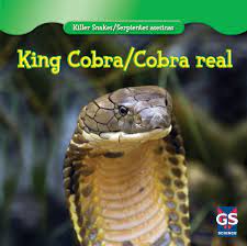 Amazon - King Cobra/Cobra Real (Killer Snakes / Serpientes Asesinas)  (English and Spanish Edition): Jones, Cede: 9781433945571: Books