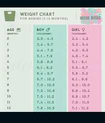 baby weight chart baby weight
