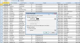pivot table in excel 2010