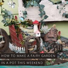 Find Out How To Make A Fairy Garden