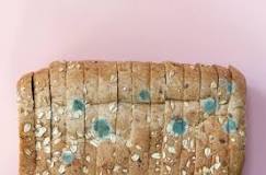 What happens if u accidentally eat moldy bread?