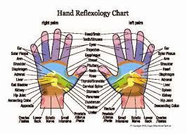 Reflexology Hand And Foot Chart New 8 X 11