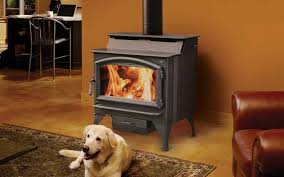 Wood Burning Stove Or Fireplace