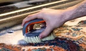 maryland carpet cleaning deals