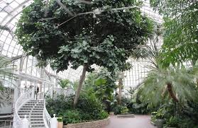 Categoría:jardines botánicos de ohio (es); The Best Botanical Gardens In America Slideshow The Active Times