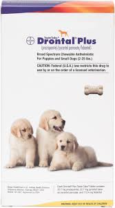 Drontal Plus Chewable Tablets For Dogs 2 25 Lbs 1 Tablet