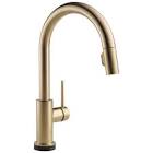 Trinsic Single Handle Pull-Down Kitchen Faucet Featuring Touch2O Technology, Champagne Bronze 9159T-CZ-DST Delta