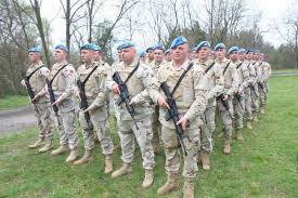 Image result for forcat e armatosura shqiptare